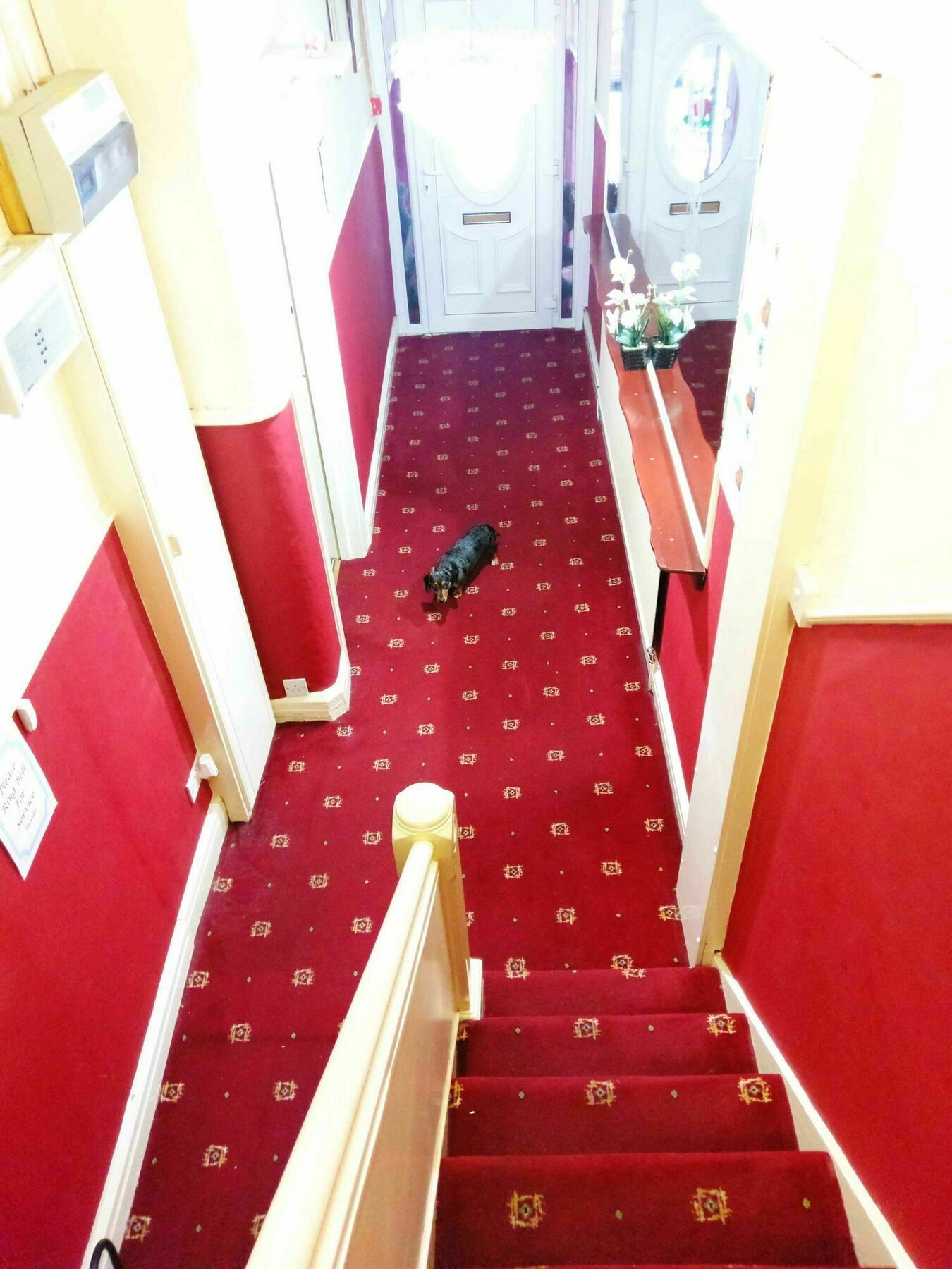 Ringbane House Panzió Blackpool Kültér fotó